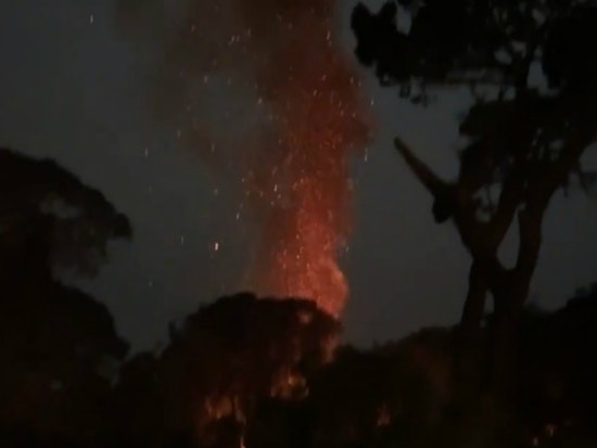 SF Fire Department seeks information on sudden rash of 6 suspicious fires in Golden Gate Park