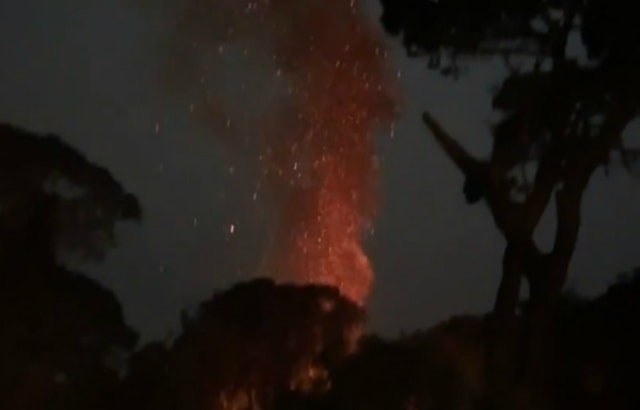 SF Fire Department seeks information on sudden rash of 6 suspicious fires in Golden Gate Park