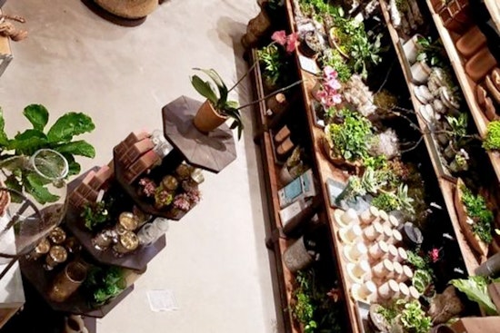 Anthropologie opens in Century City, bringing home furnishings, women's clothing and more