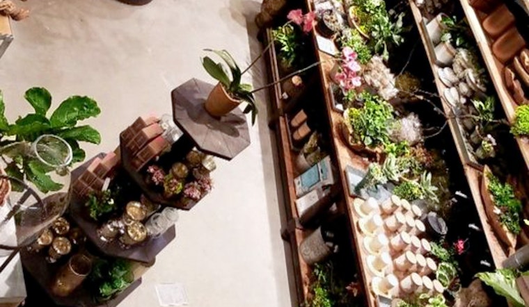 Anthropologie opens in Century City, bringing home furnishings, women's clothing and more
