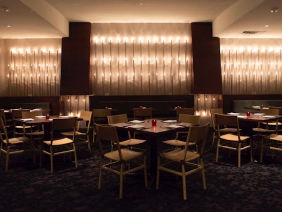 Cadence, Mr. Tipple's Upscale Companion, Debuts Tomorrow