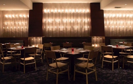 Cadence, Mr. Tipple's Upscale Companion, Debuts Tomorrow