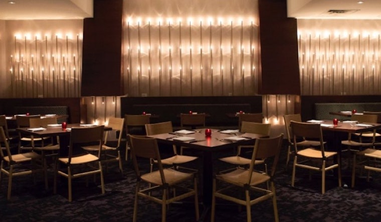 Cadence, Mr. Tipple's Upscale Companion, Debuts Tomorrow