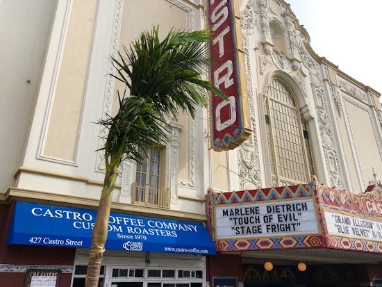 Palm kernels: Castro Street's vandalized trees replaced, as Market Street's get trimmed