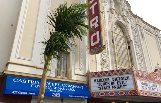Palm kernels: Castro Street's vandalized trees replaced, as Market Street's get trimmed