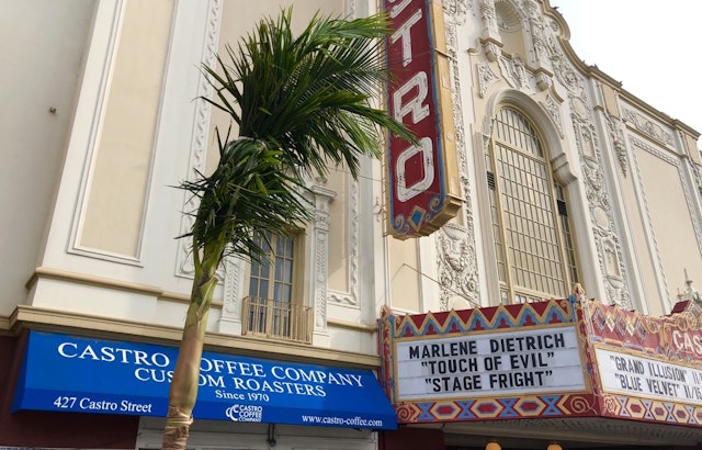 Palm kernels: Castro Street's vandalized trees replaced, as Market Street's get trimmed