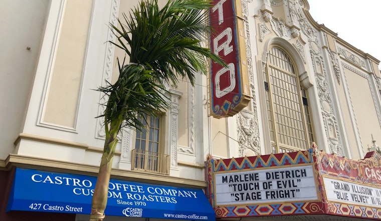 Palm kernels: Castro Street's vandalized trees replaced, as Market Street's get trimmed