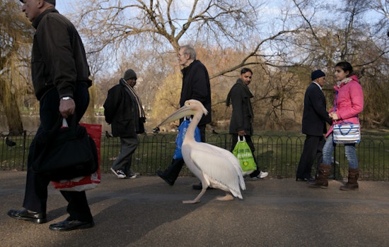 Hoodline Fisherman’s Wharf News: Food, Arts, Politics, Crime & More