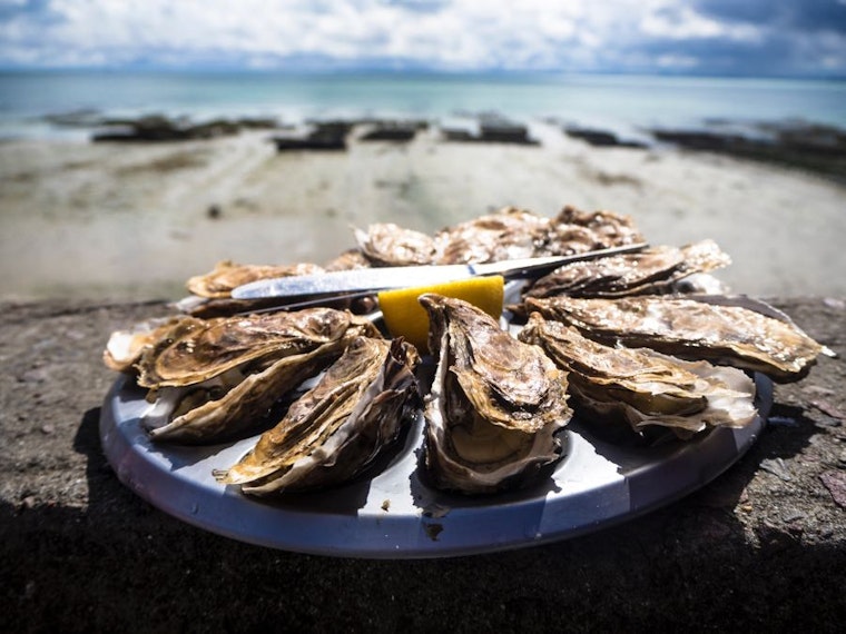 Oysters and beer, jazz and techno: 3 budget-friendly events in Durham this weekend