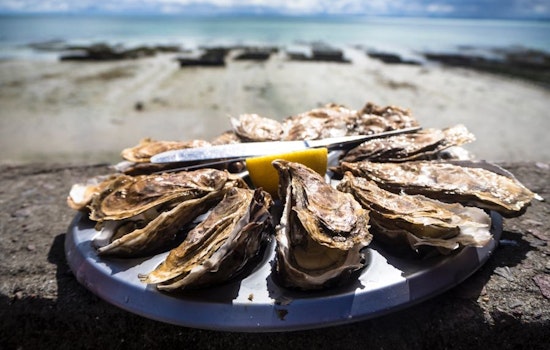 Oysters and beer, jazz and techno: 3 budget-friendly events in Durham this weekend