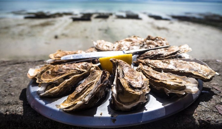 Oysters and beer, jazz and techno: 3 budget-friendly events in Durham this weekend
