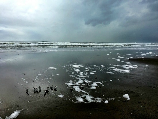 For Outer Sunset, Sea Level Rise Will Be Less About Water, More About Sand