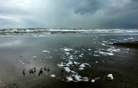 For Outer Sunset, Sea Level Rise Will Be Less About Water, More About Sand