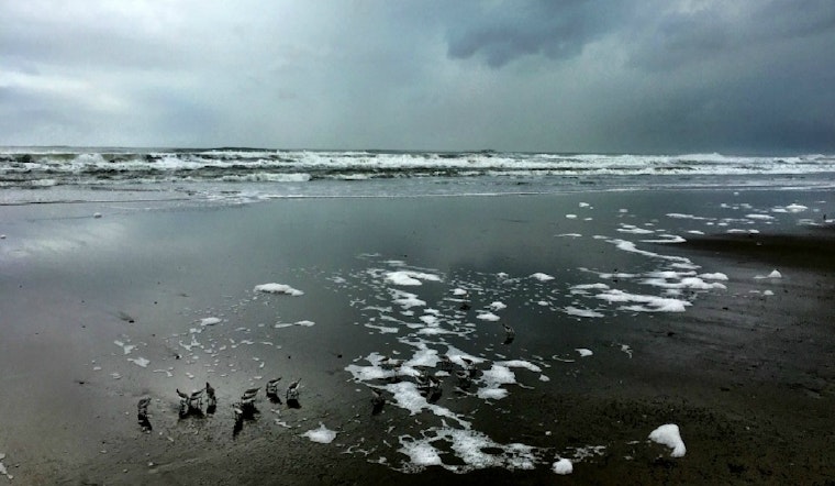 For Outer Sunset, Sea Level Rise Will Be Less About Water, More About Sand