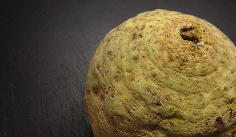 Celeriac: 1 ugly vegetable, 9 beautiful recipes