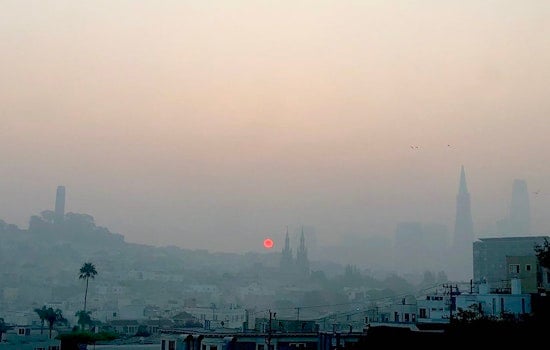 Schools cancelled, Muni rides free as SF grapples with worst air quality worldwide