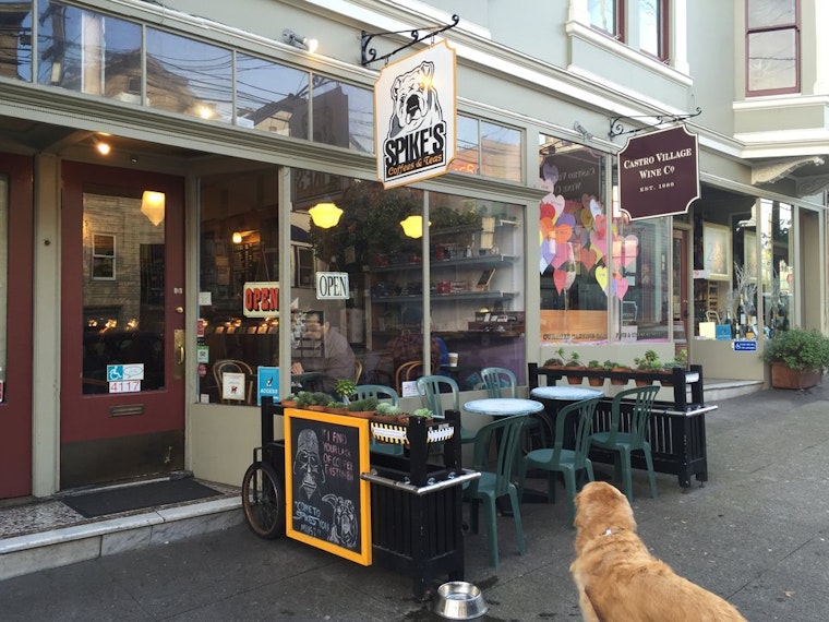 Castro Week: New Dolores Park Opening Date, SF Beer Week, Weekend Events, More