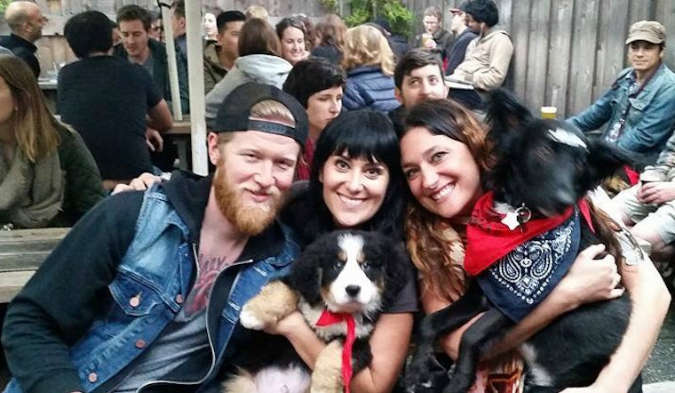 Tomorrow: Pints And Pups At Lucky 13's Dog Day Afternoon