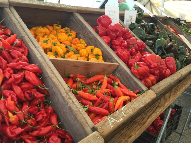 New North Beach Farmers Market Set To Bloom This Spring