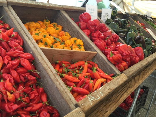 New North Beach Farmers Market Set To Bloom This Spring