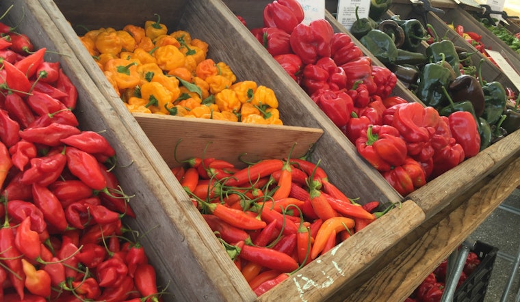 New North Beach Farmers Market Set To Bloom This Spring