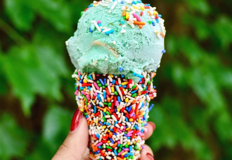 Feast your eyes on the best Minneapolis businesses to visit before Thanksgiving