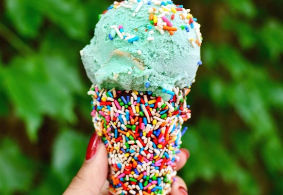 Feast your eyes on the best Minneapolis businesses to visit before Thanksgiving