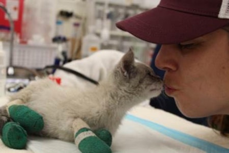 SF agencies mobilize to save animals injured or lost in Camp Fire — here's how you can help
