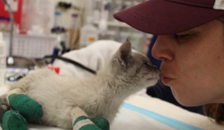 SF agencies mobilize to save animals injured or lost in Camp Fire — here's how you can help