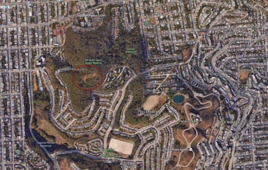 Today In Inner Sunset History: 3 Killed In Mt. Sutro Plane Crash