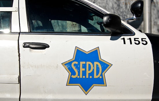 Reports to SFPD down from last year; trespassing and noise complaints tick up