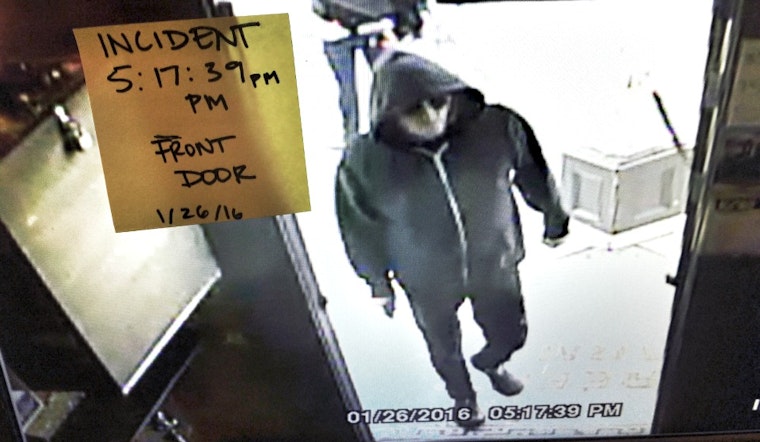 After More Bizarre Antics, Madrone Pulls Artist's Show