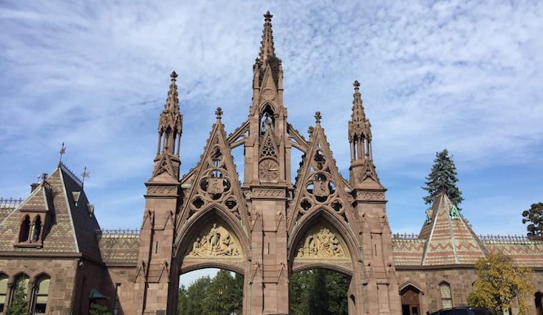 3 things to do on the cheap in New York City this week