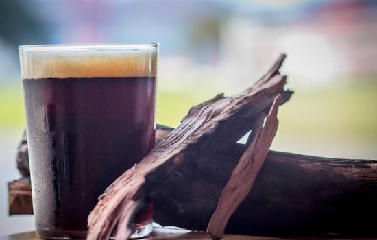 SF Botanical Garden Celebrates Beer Week With A Botanical Brew