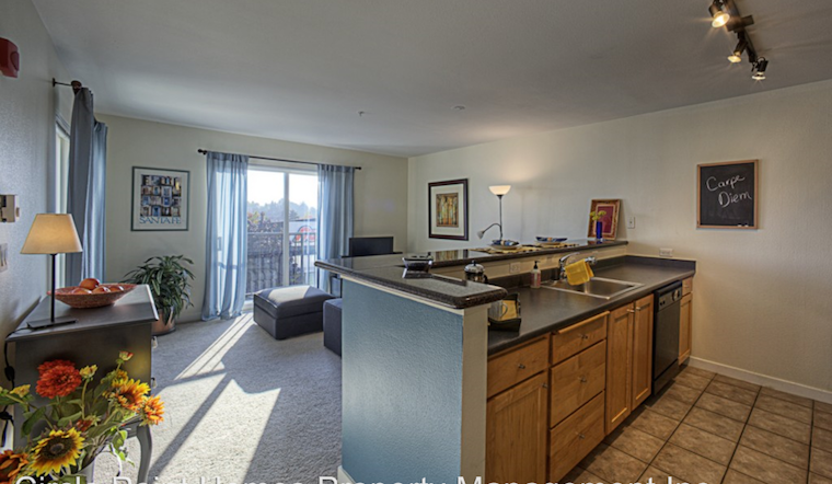 The cheapest apartment rentals in Squire Park, right now