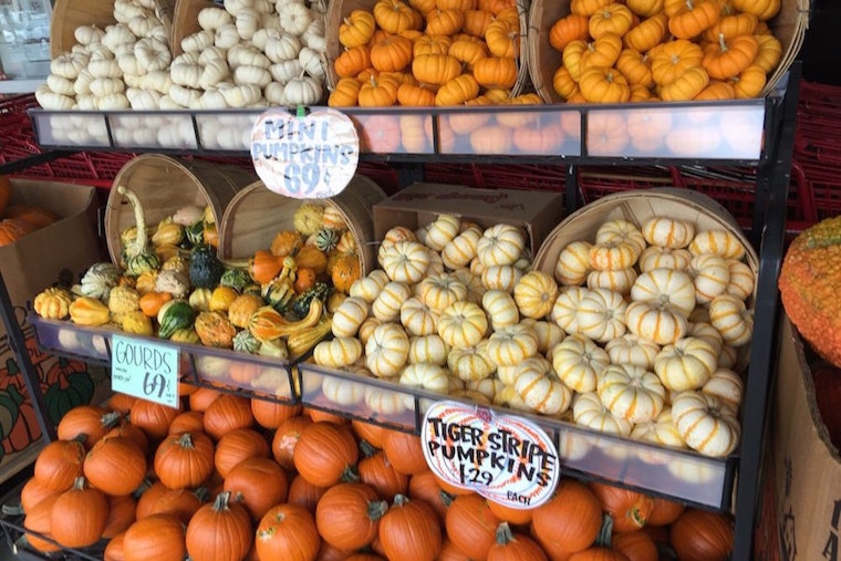Feast your eyes on the best Huntington Beach businesses to visit before Thanksgiving