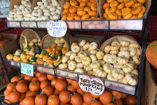 Feast your eyes on the best Huntington Beach businesses to visit before Thanksgiving
