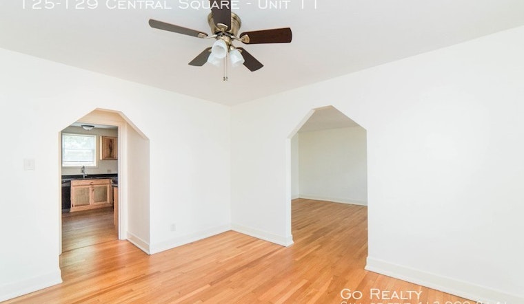 What does $800 rent you in Mount Lebanon, today?