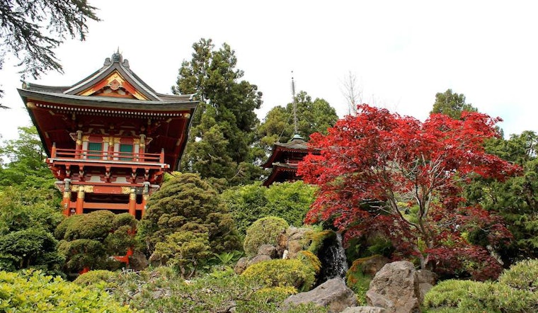 Inner Sunset Week: Academy Of Sciences Free Day, Hidden Creeks, Tea Garden And History Walks