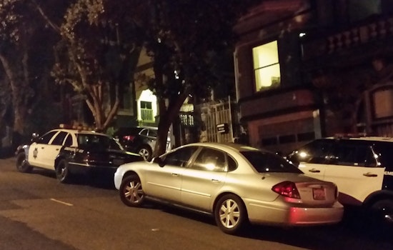 Human Skull Found During Haight House Renovation