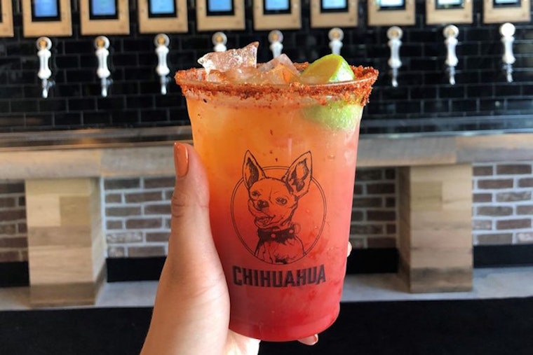 Chihuahua Cerveza brings tacos and more to Newport Beach