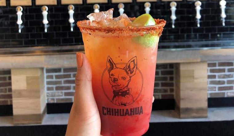 Chihuahua Cerveza brings tacos and more to Newport Beach