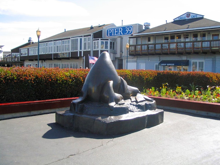 North Beach Week: Tulipmania, Chinatown Photography, A Divorcee Dungeon Deal
