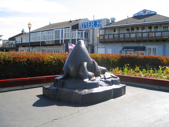 North Beach Week: Tulipmania, Chinatown Photography, A Divorcee Dungeon Deal