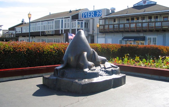 North Beach Week: Tulipmania, Chinatown Photography, A Divorcee Dungeon Deal
