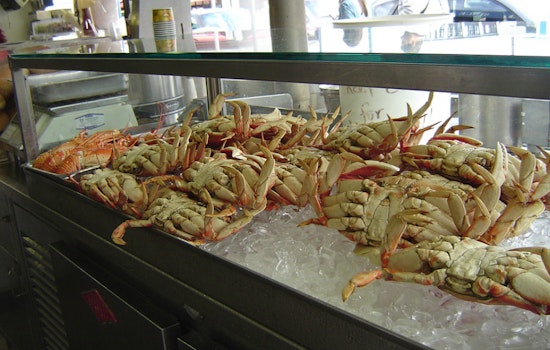 Dig In, Dungeness Devotees: Crab Declared Safe