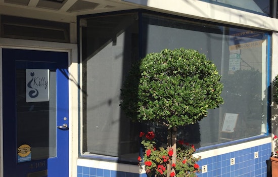 Feline Bed & Breakfast 'The Kitty Chateau' Debuts Tomorrow In The Castro