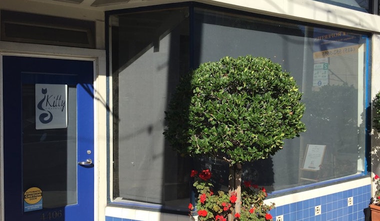Feline Bed & Breakfast 'The Kitty Chateau' Debuts Tomorrow In The Castro