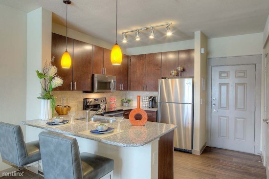 Renting in Spring Branch East: What will $1,000 get you?