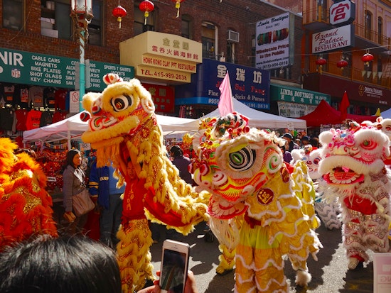 North Beach Week: San Francisco Plunge, Chinese New Year Festival & Parade, More